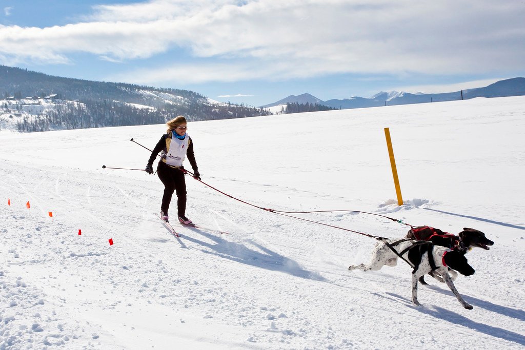 Take it to the Next‌ Level: Conditioning and Fitness Tips for Skijoring