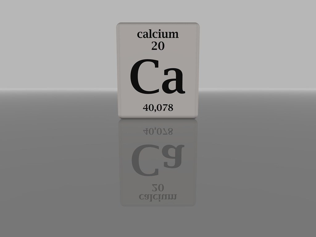 Unleashing the‍ Benefits:⁤ How Calcium Supports Canine ⁤Cognitive Development