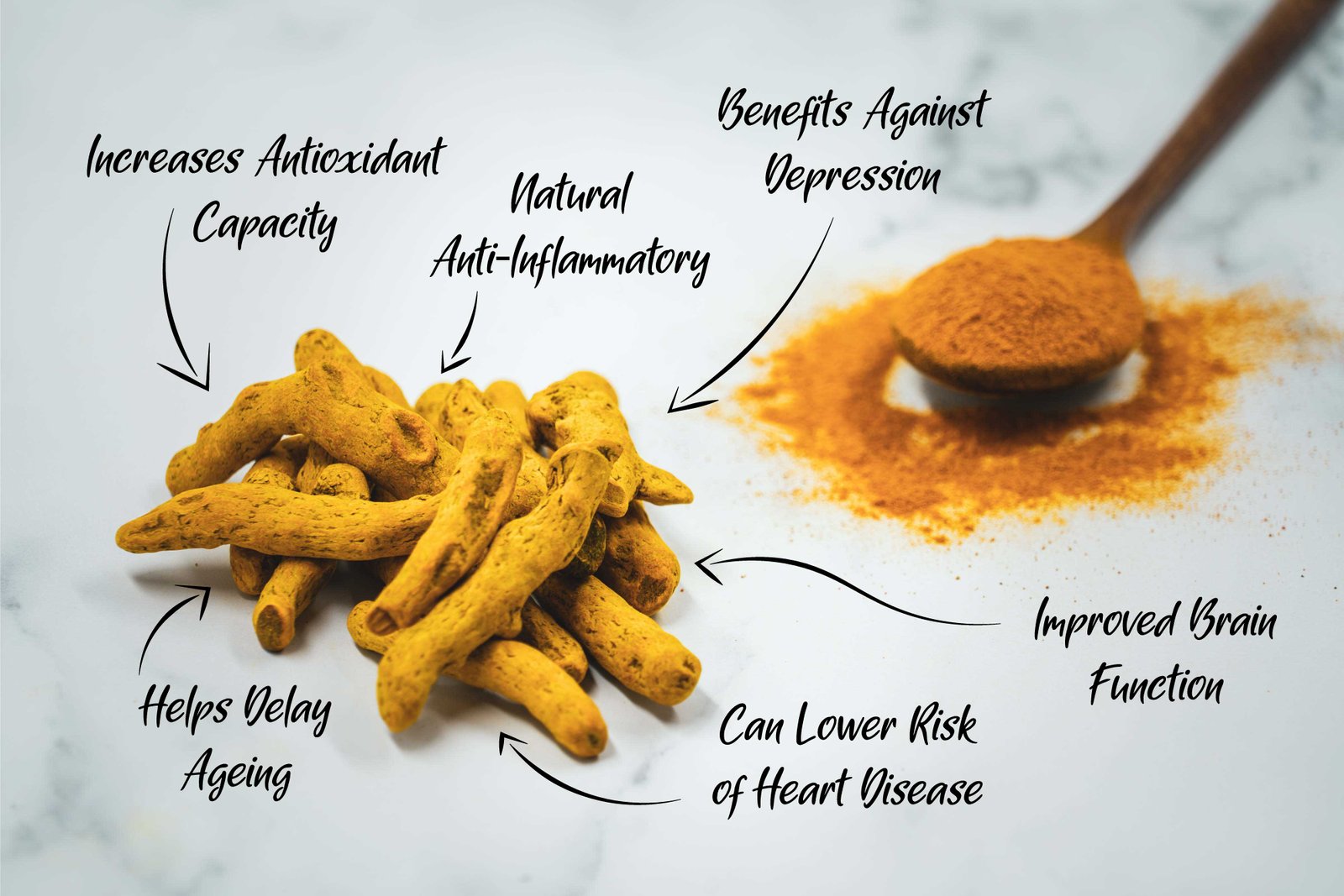 Harnessing the Power of Turmeric in Dog Training: Benefits and Uses