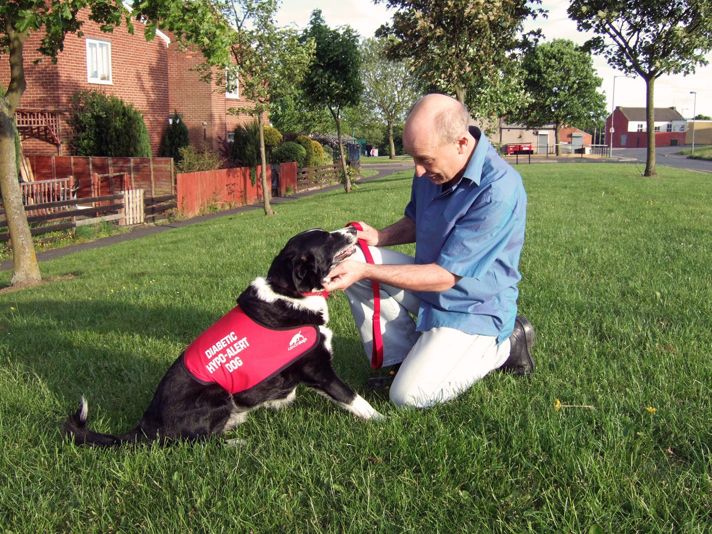 Developing the ​Bond: Establishing Trust and ⁣Communication ⁣with Your Diabetic ⁤Alert Dog