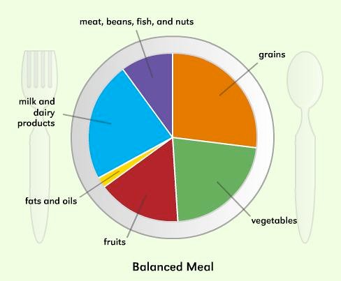 Why Balanced Meals are Crucial for Effective⁤ Dog Training