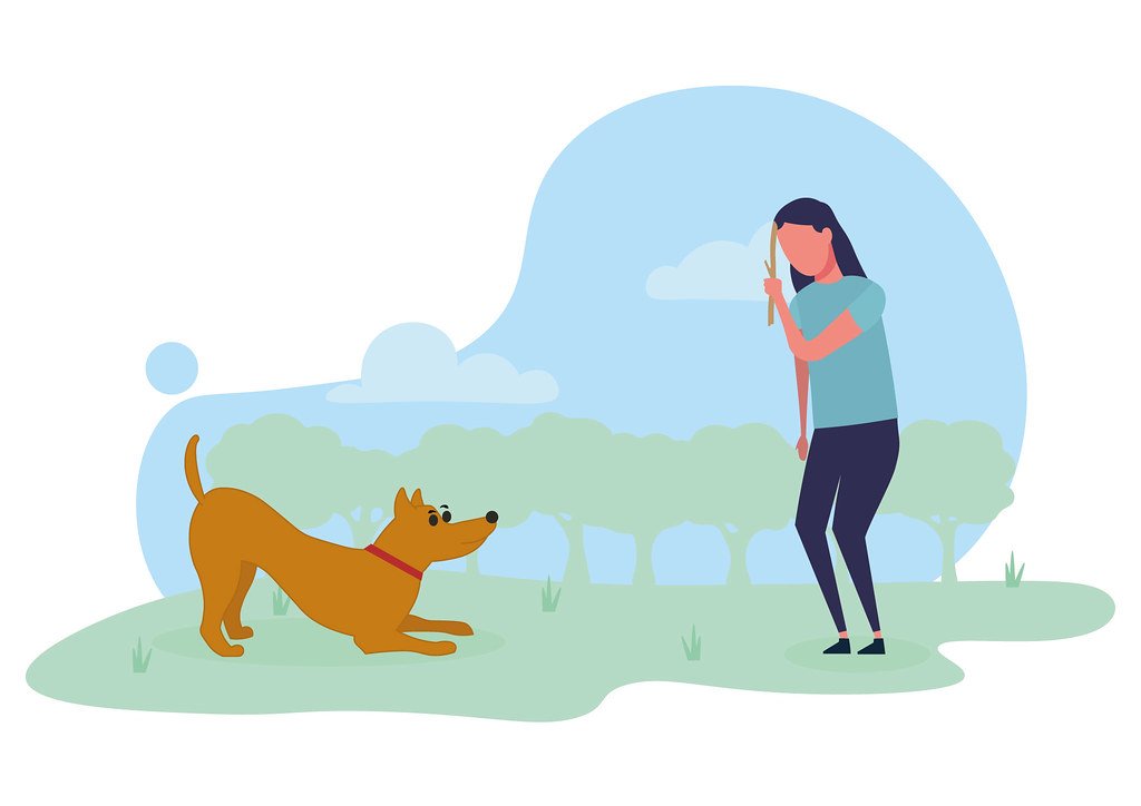 The Importance⁤ of Using a Dog Training ⁣Fetch Stick