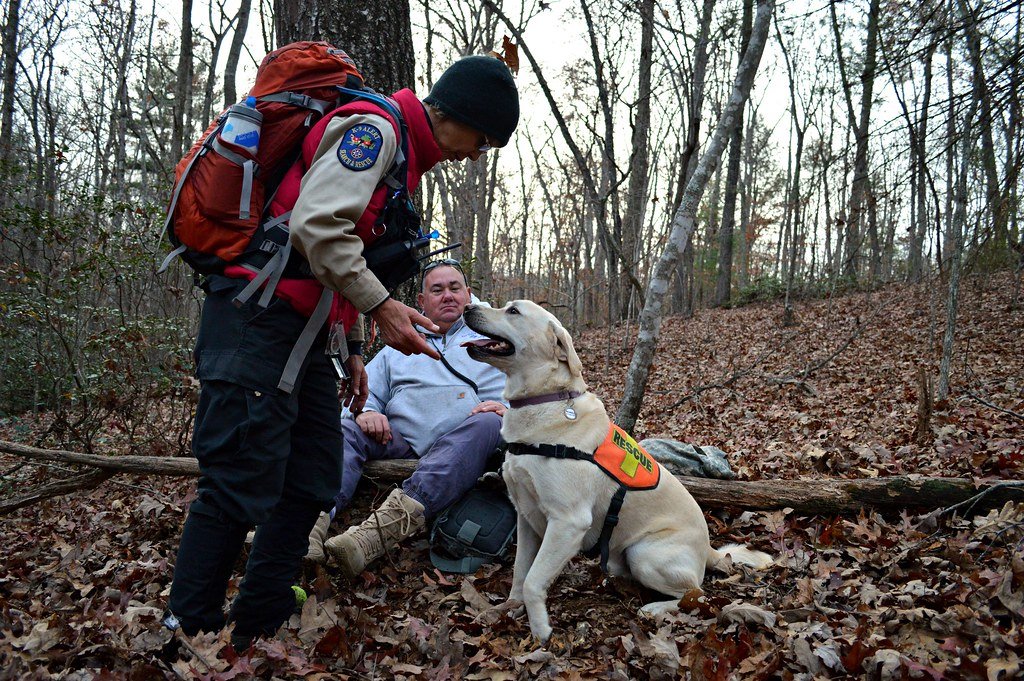 The Role of Agility in Search & Rescue Dog Training