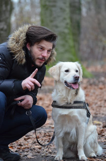 Dog Training for Canine Freestyle: Choreographed Moves