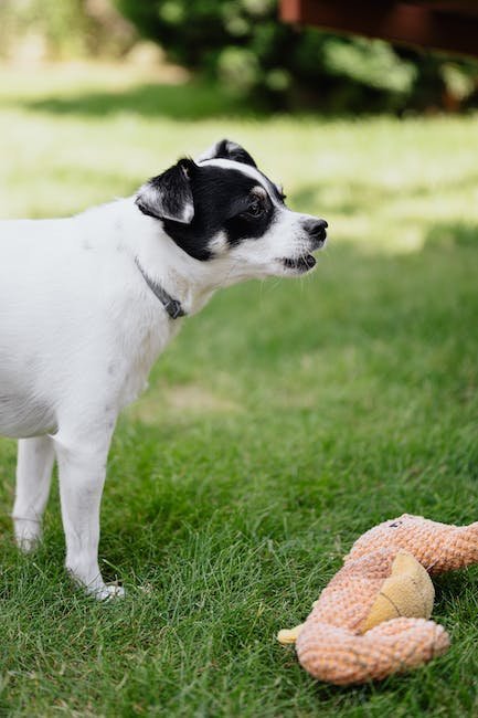 Understanding the​ Root Causes of⁤ Excessive ⁣Barking