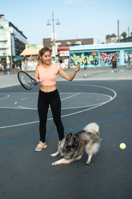 Unleashing‌ the Potential: Exploring the ‍World‌ of Dog ‍Sports and Activities