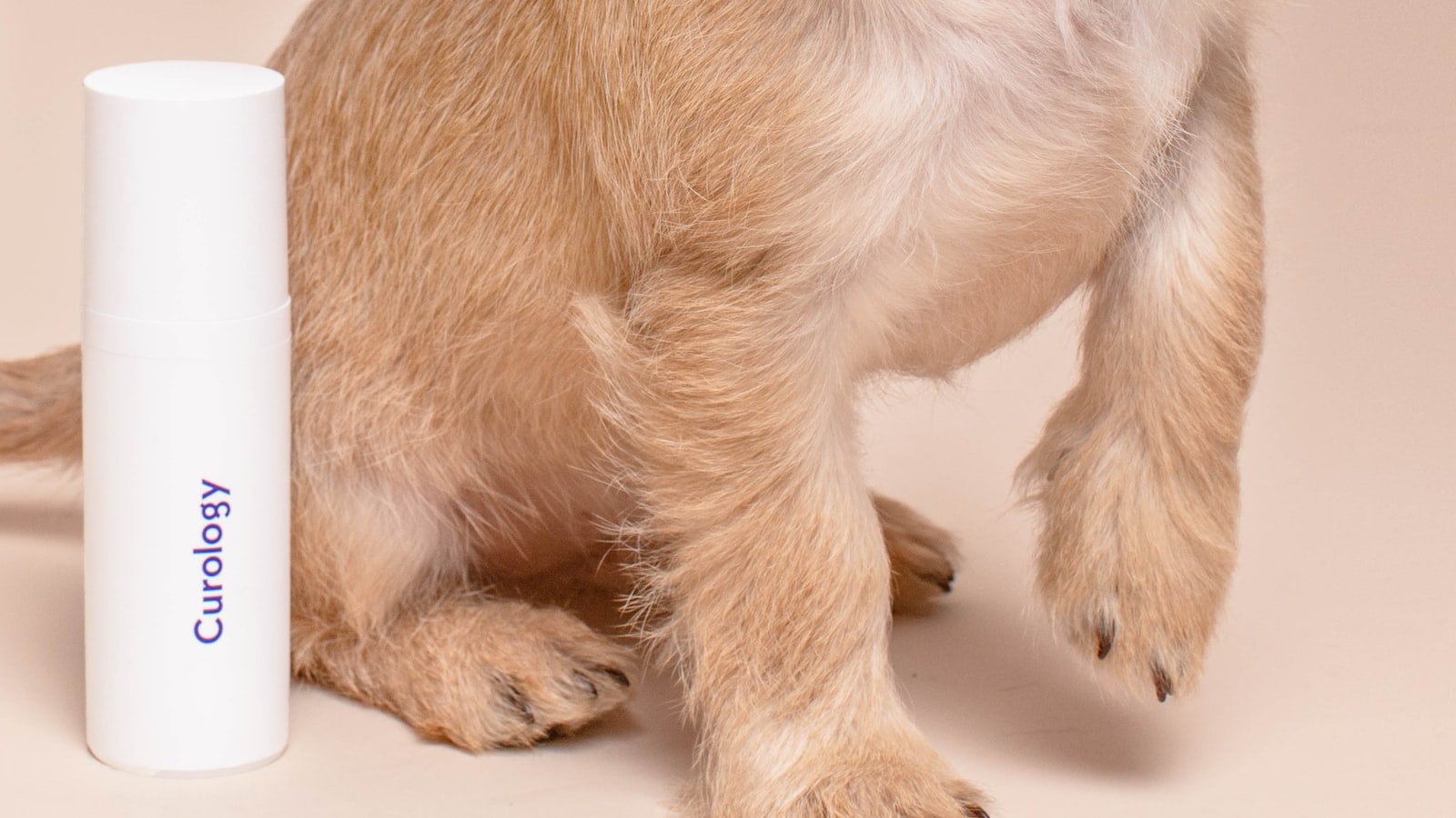 Recognizing the Reasons ​Behind ⁣Your ⁤Dog's Humping Behavior