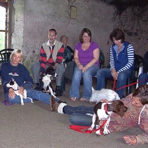 Puppy Training for Fear of Children: Building Trust