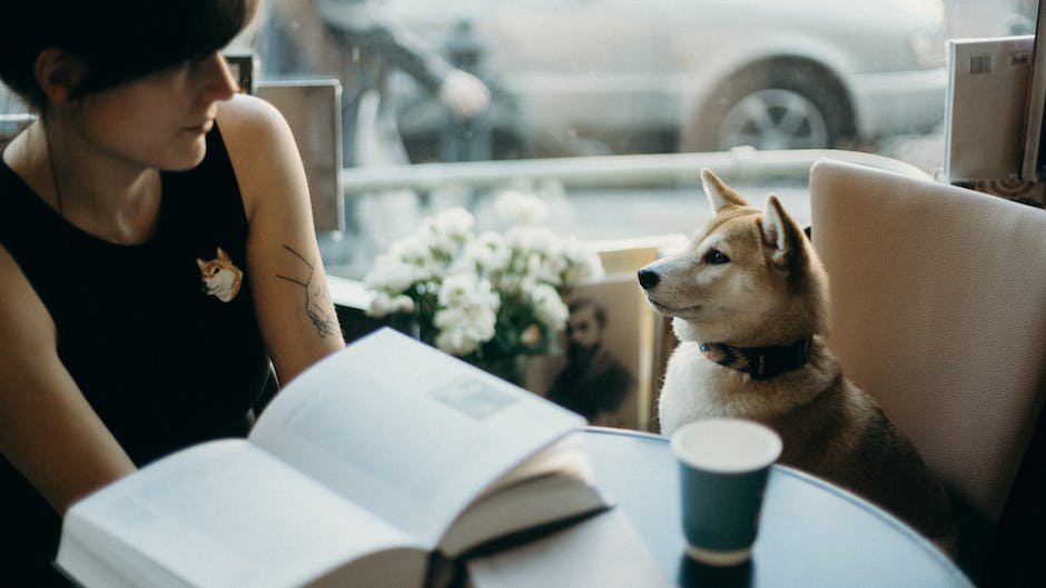 What’s the Best Dog Training Book? Your Questions Answered