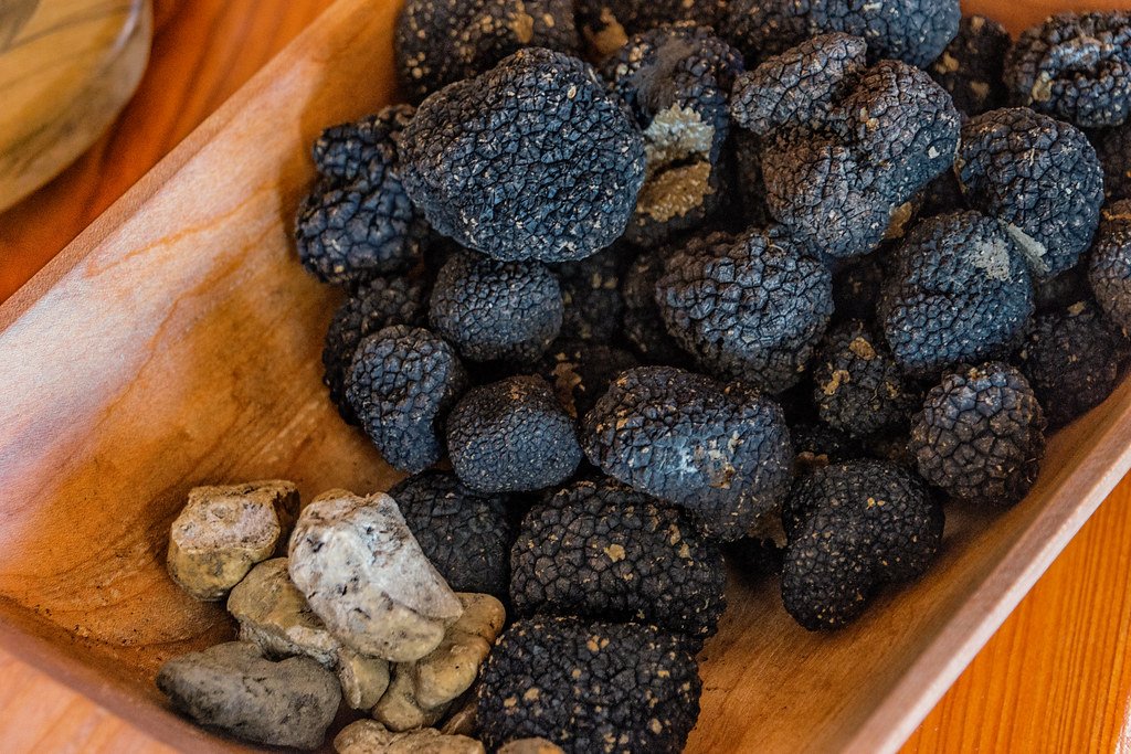 Understanding Truffle Hunting: A Fascinating Journey of Scent and‌ Skill