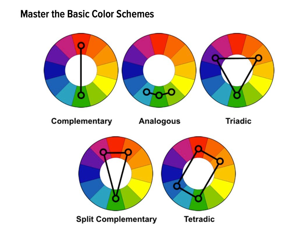 Mastering the Basics: Sit, Stay, and Target Training