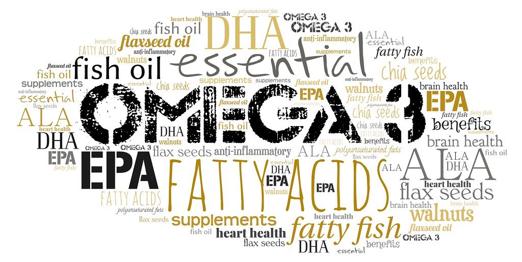 The Role of⁣ Omega-3​ Fatty Acids in Canine Cognitive Development⁣ and Behavior