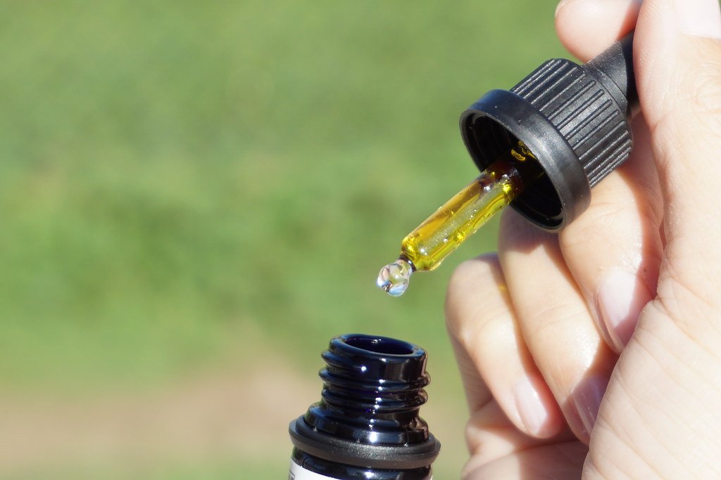 Understanding⁣ the⁤ Potential Advantages ​and Drawbacks of Utilizing CBD Oil in Canine Training