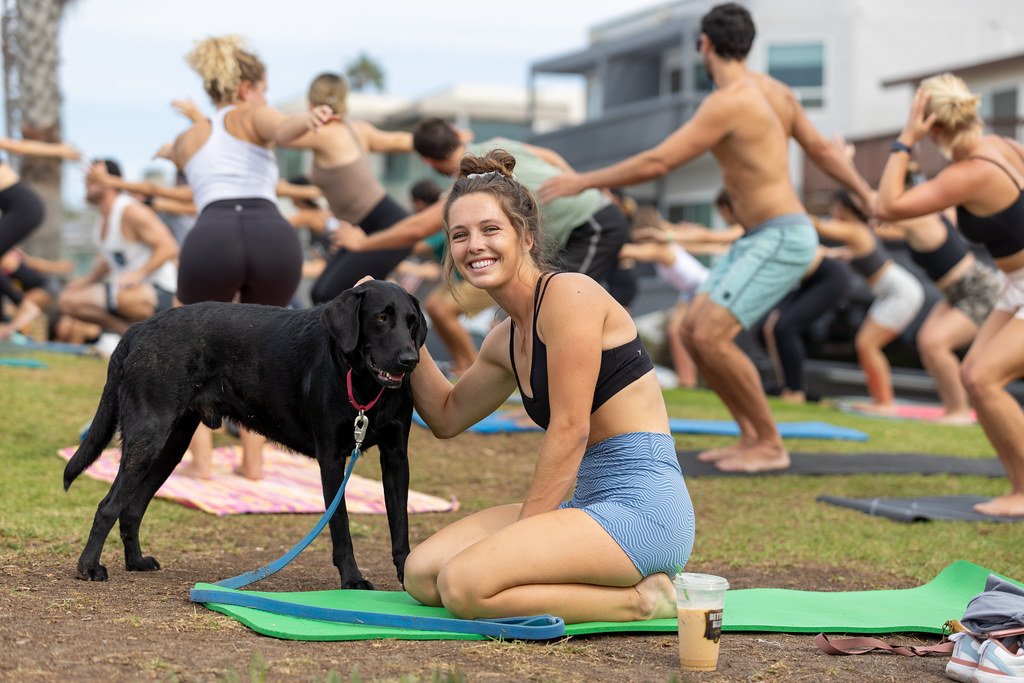 Preparing Your Space for Dog Yoga: Creating a Calm and Inviting Environment