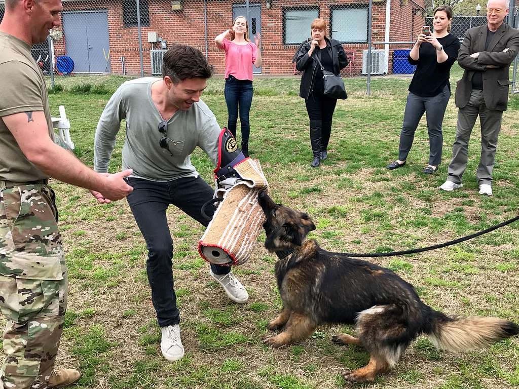 Introduction: Understanding ​the⁤ Purpose and Benefits of a Dog⁣ Training Bite Sleeve