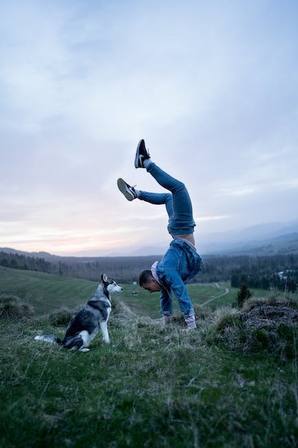 Understanding the Basics of Teaching Your Dog a Handstand
