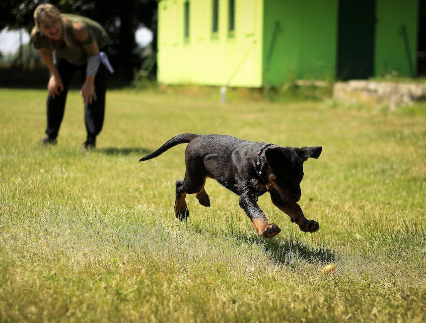 Heading 1: Revolutionizing ⁤Dog Training with Innovative Mobile Apps
