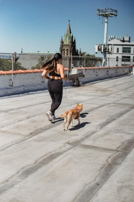 Building a ​Strong Foundation: ⁤Essential Techniques for Leash Training